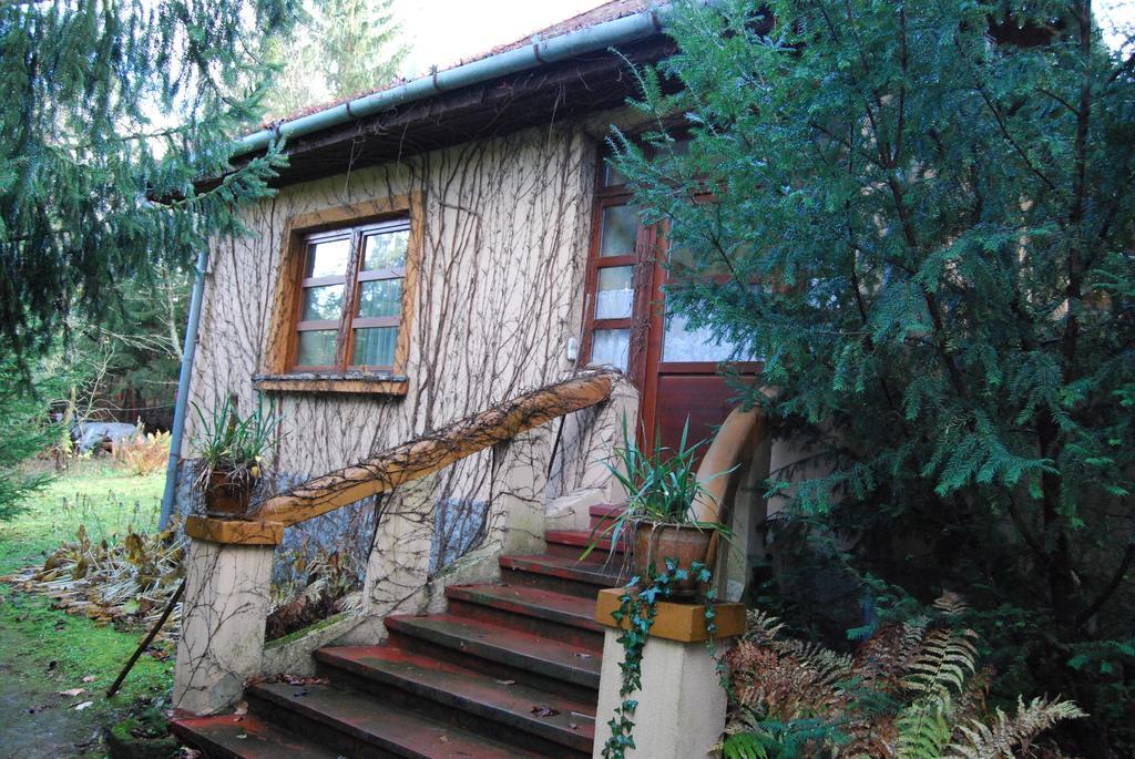 Boroka Apartmanhazak - Oereghaz Велем Номер фото